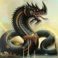นาคาพารวย 🐉