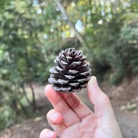 40+ 慢語 慢活 慢遊