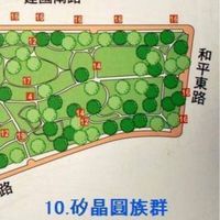大雞雞愛看股科