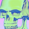 ハチミツ動画班（ロブロ系）