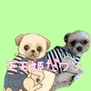 I♥LOVEペットfamily☘️
