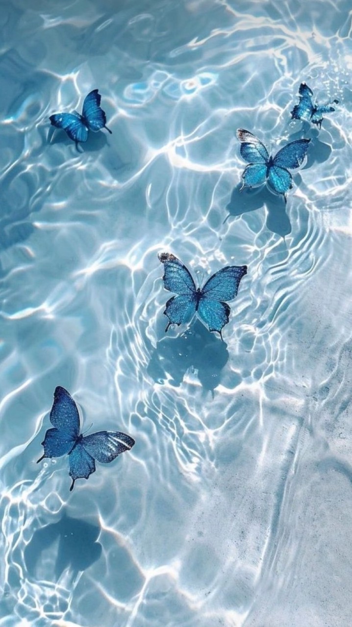 🦋คุยเล่น🦋