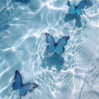 🦋คุยเล่น🦋