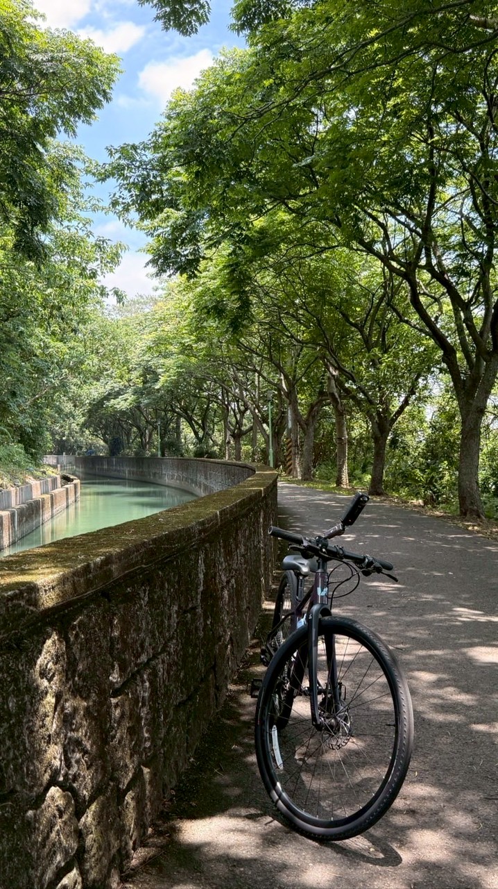 不老單車騎士🚴‍♀️