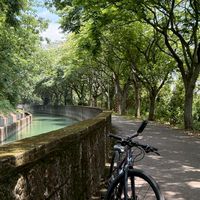 不老單車騎士🚴‍♀️