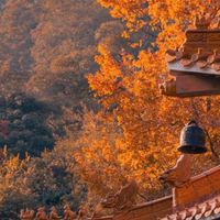 旅遊服務 大家一起出遊