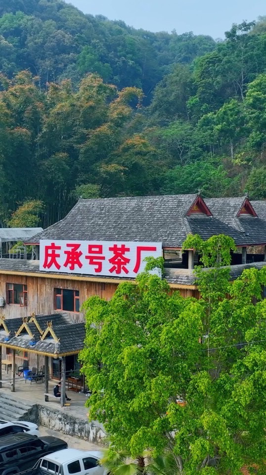 高檔品牌老普洱茶 買/賣