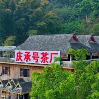 高檔品牌老普洱茶 買/賣