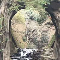 【アラフィフ⤴︎✨関東シングル】大人になっても楽しくお友達作り＆お散歩会💫💫