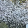 訪問看護ステーション+サロンふかちょう
