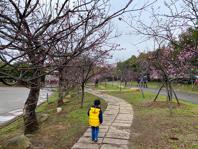 后里崴立機電櫻花公園