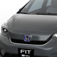 Honda FIT 4 柴犬群