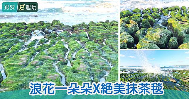 北海岸「2公里抹茶地毯」綠了！石門老梅綠石槽每年3至5月最美，岩脊激盪出朵朵浪花宛如綻放春季限定煙火