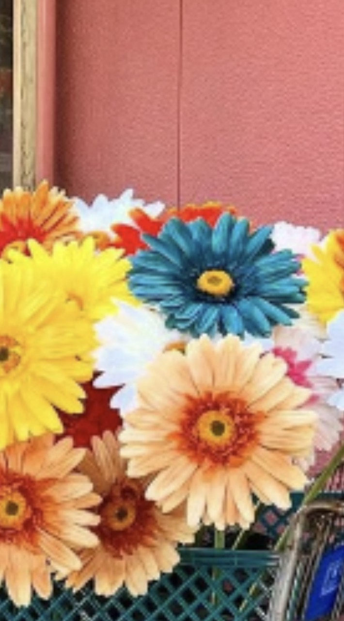 大阪🐬フラスタ　VividVision3/21