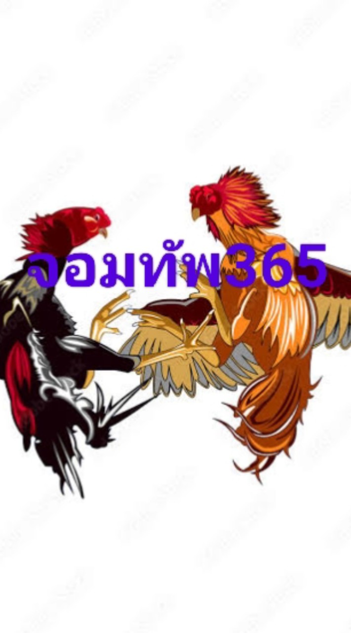 ตี๋ จอมทัพ365