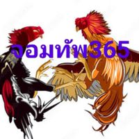 ตี๋ จอมทัพ365