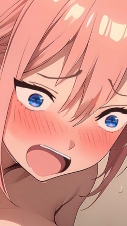 好きな画像を貼る