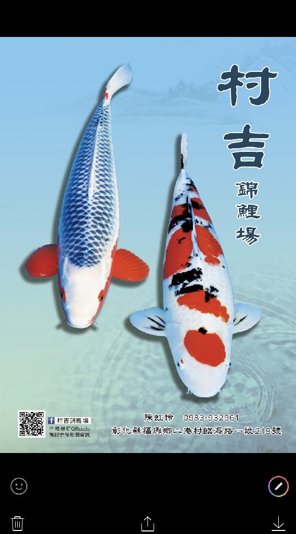 村吉錦鯉場