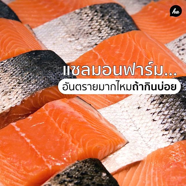 รายการ 99+ ภาพพื้นหลัง แซลมอนฟาร์ม ใหม่ที่สุด