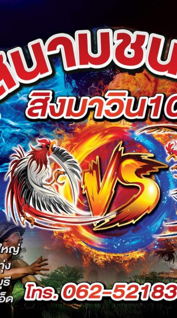 สนามชนไก่ สิงมาวิน101