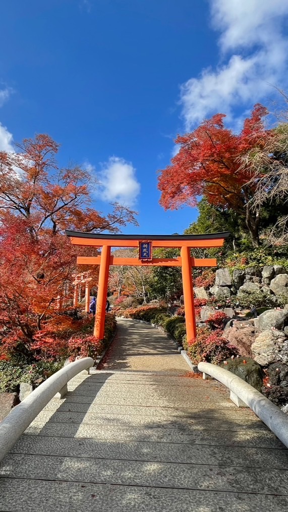 日本御朱印x動物御神籤⛩️神社寺廟資訊討論區