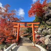 日本御朱印x動物御神籤⛩️神社寺廟資訊討論區