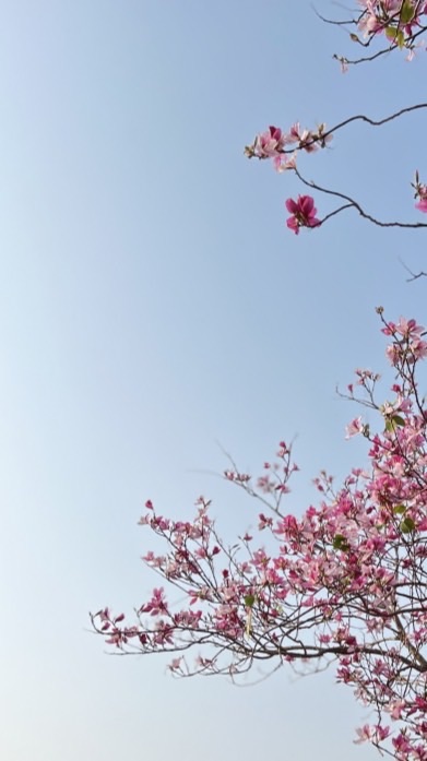 社恐想要努力交朋友之北漂族🌸