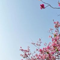 社恐想要努力交朋友之北漂族🌸