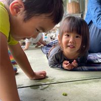 🌱出張はぐみぃ🌱