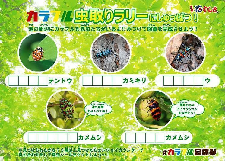 小学生の 夏休み自由研究 工作 アイデア集 悩みが解決