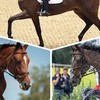馬 術 也　＿＿　🐎　( 馬術なりきり )