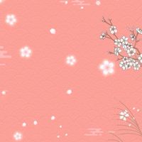 PAY.TOY.TW 日本選物/代購/潮流玩具