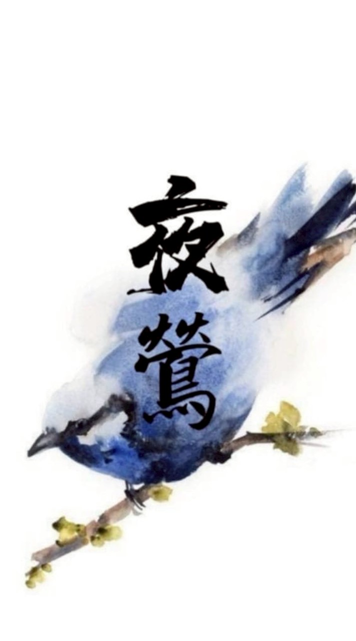 夜鶯團隊聊天交流群