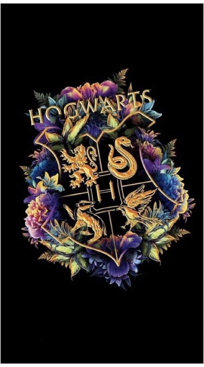 ⚡Hogwarts School of Witchcraft and Wizardry⚡