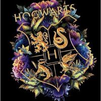 ⚡Hogwarts School of Witchcraft and Wizardry⚡