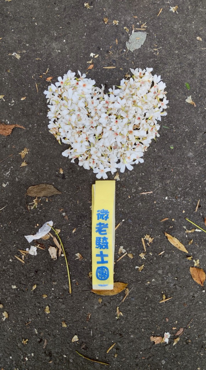 微老騎士團