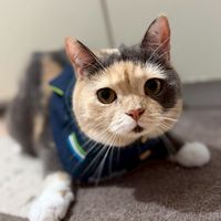 MJ小雪二手市集