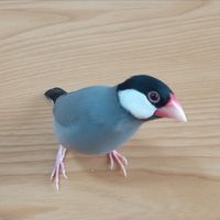 雑談部屋🥰こっちゃん🥰