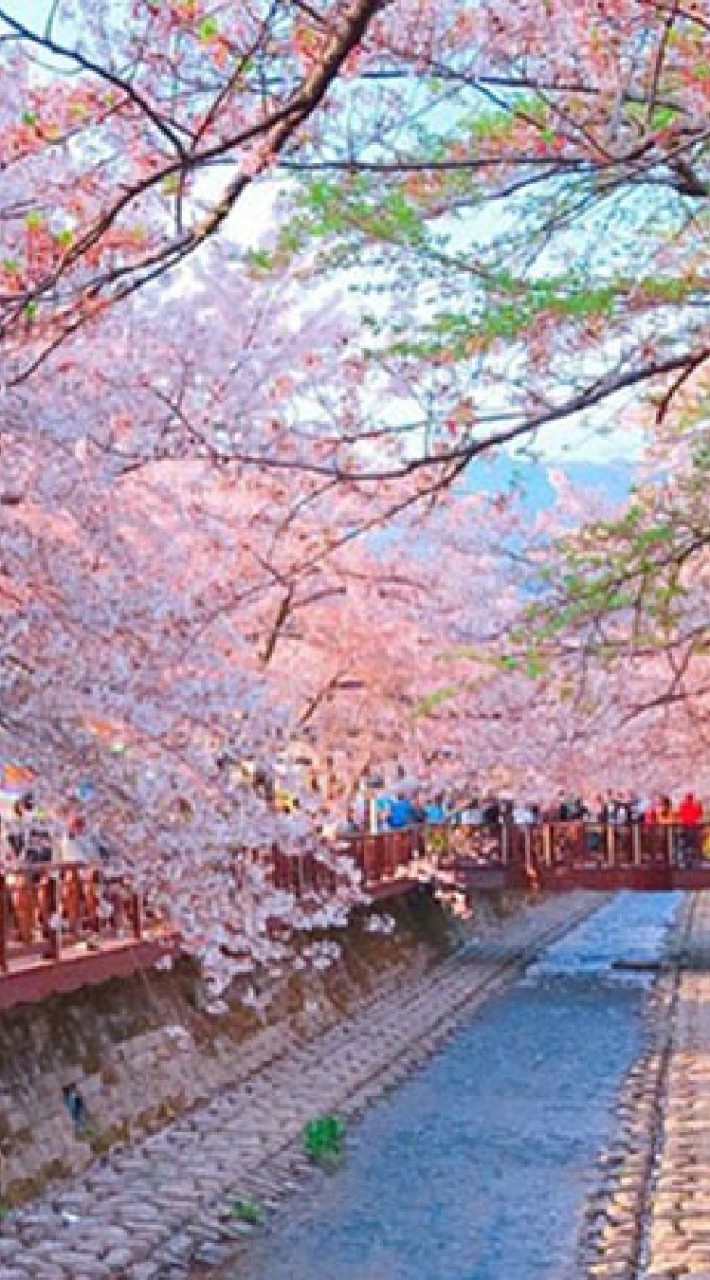 ทำงานเกาหลี งานสวน งานโรงงาน รับลง K-ETA