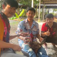 ซุ้ม หนุ่มโรง นายน้อยฟาร์ม