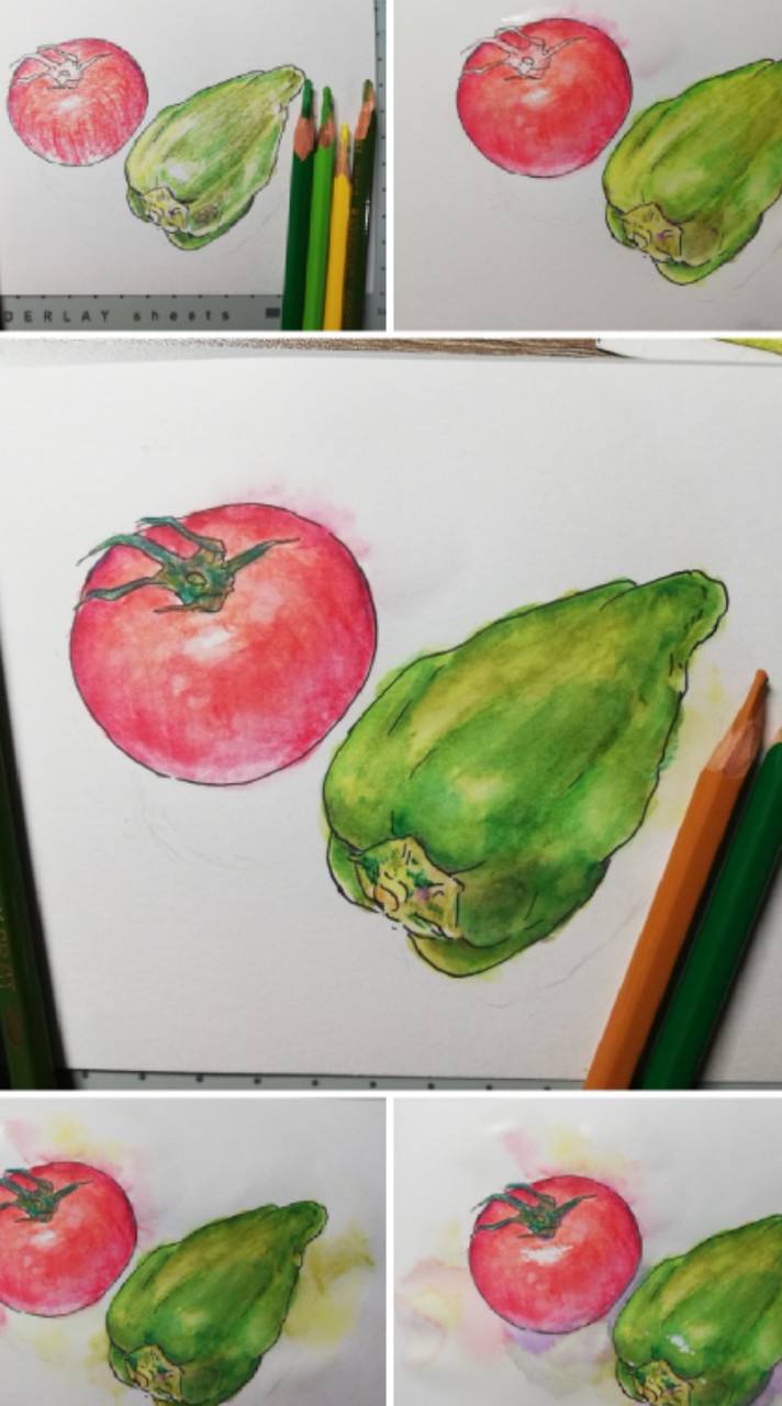 🖌水彩色鉛筆で絵を描こう🖌