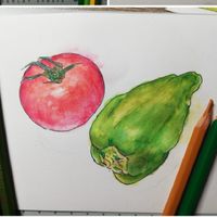 🖌水彩色鉛筆で絵を描こう🖌