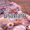 บรอทงานโปรโมทเว็บ