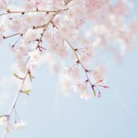 横堀 若者まちづくりミーティング
