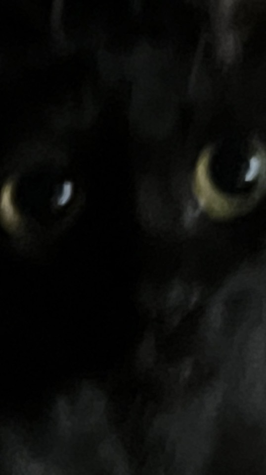 Lauren Studio｜陶器畫畫俱樂部