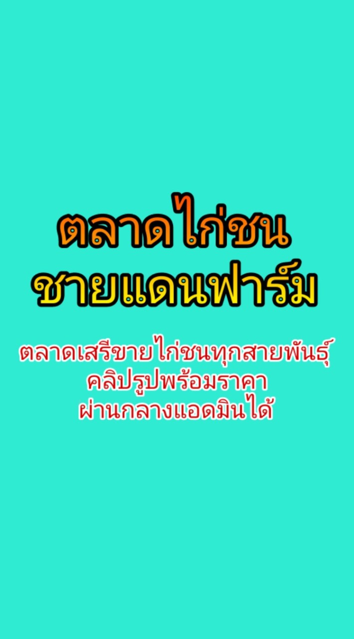 ตลาดขายไก่ชน ชายแดนฟาร์ม