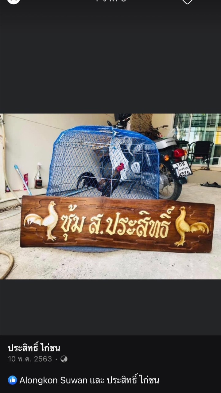 พม่าล่อแข้งคม (ประสิทธิ์)