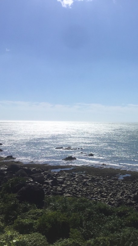 台指小道小那操作分享