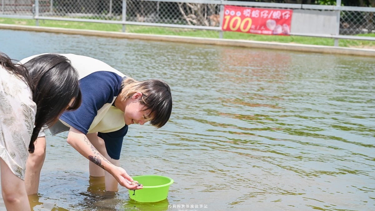 體驗全台唯一「海牛採蚵」！彰化芳苑１日遊必訪６亮點，海鮮控爽吃烤蚵大餐