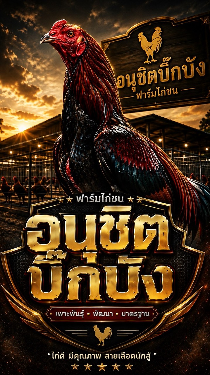 อนุชิตบิ๊กบัง